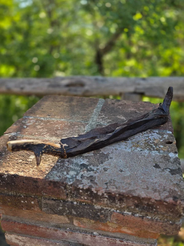 APPLICATORE RAPE' - TEPI MEXICO